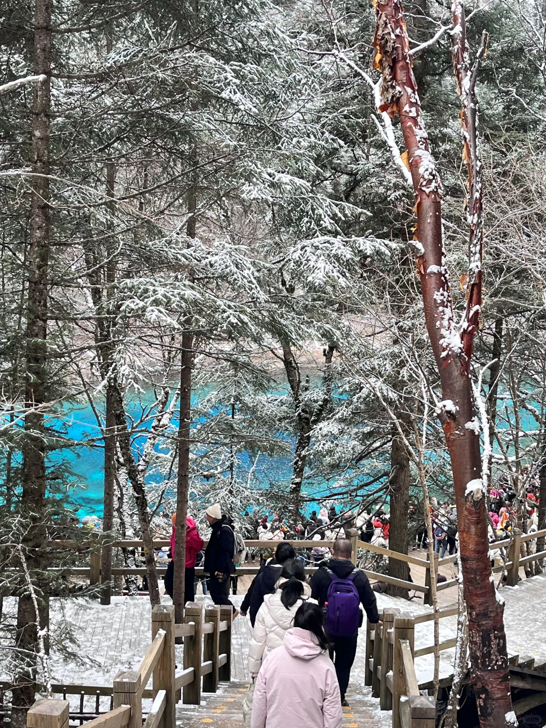 2.3📍九寨沟实况现状，已踩雷😭建议听劝...