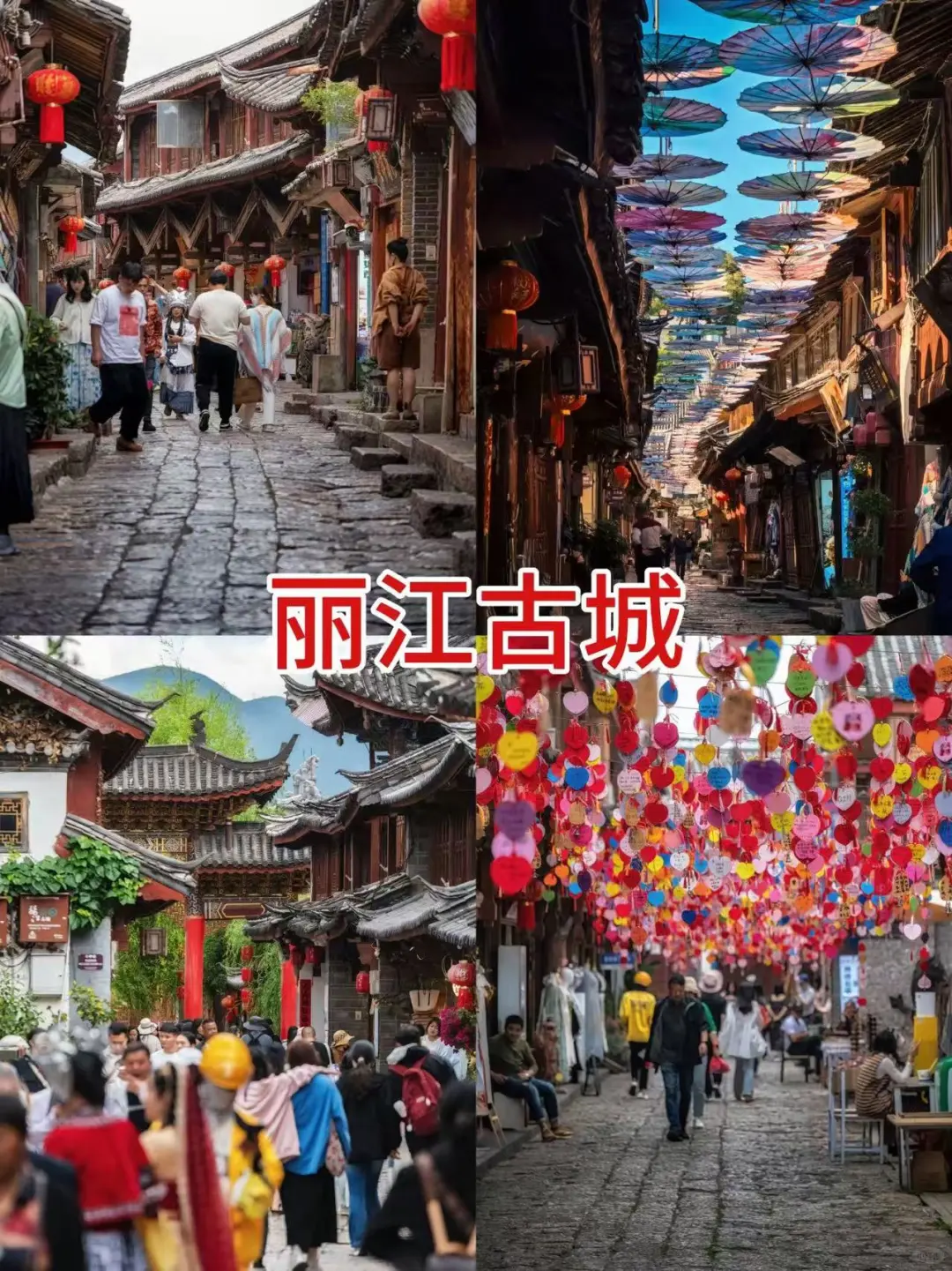 蛇年来云南！真纯玩！暖冬畅游爽歪歪😘