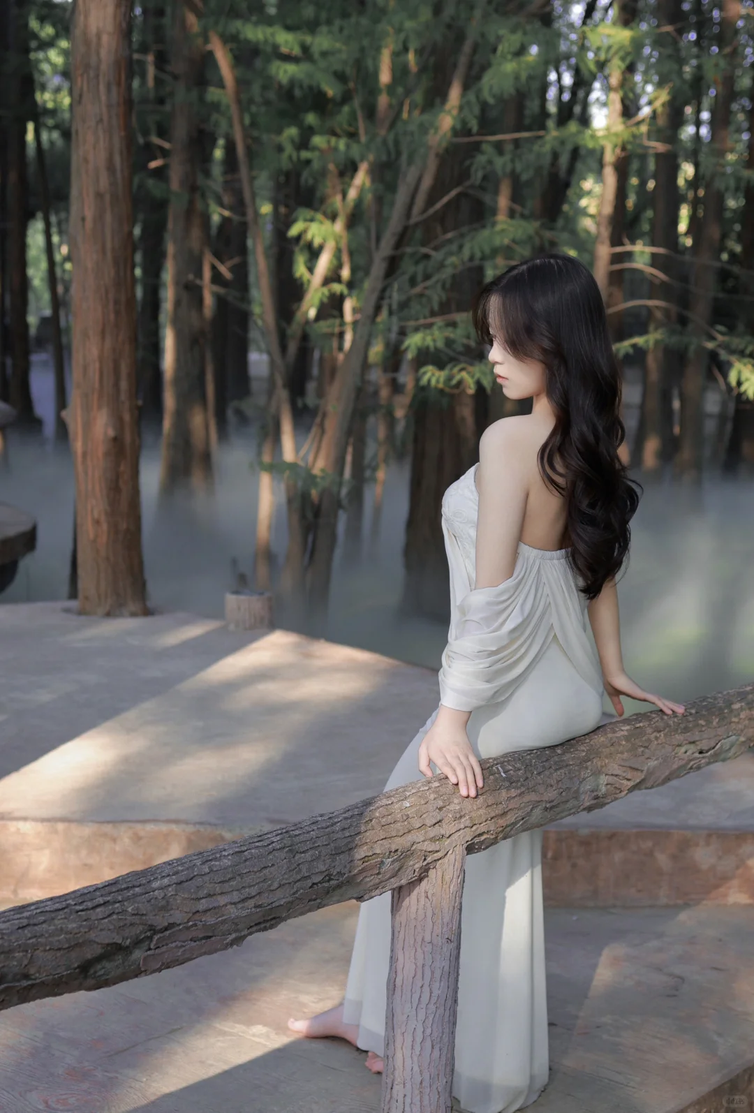 开工大吉 / 东湖落雁景区