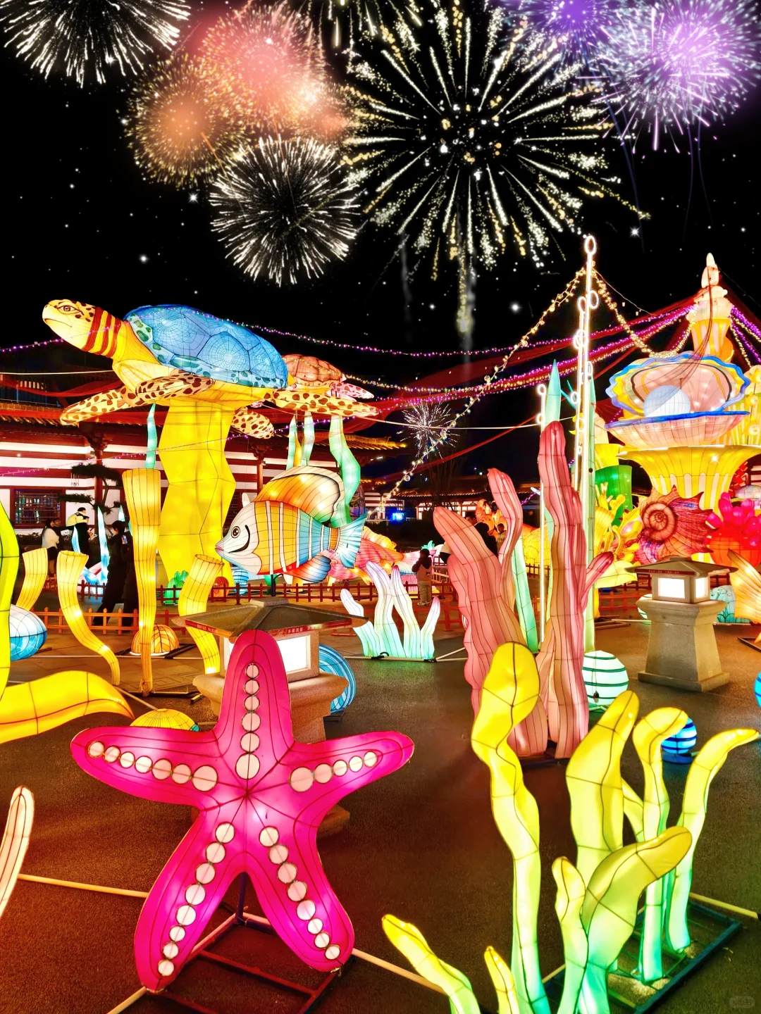 初五来宿迁花灯会迎财神✨太好逛啦‼️