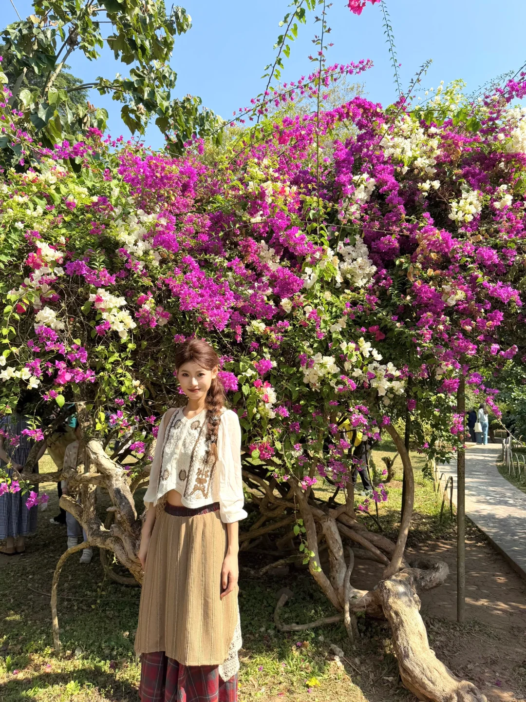 去西双版纳玩了一圈