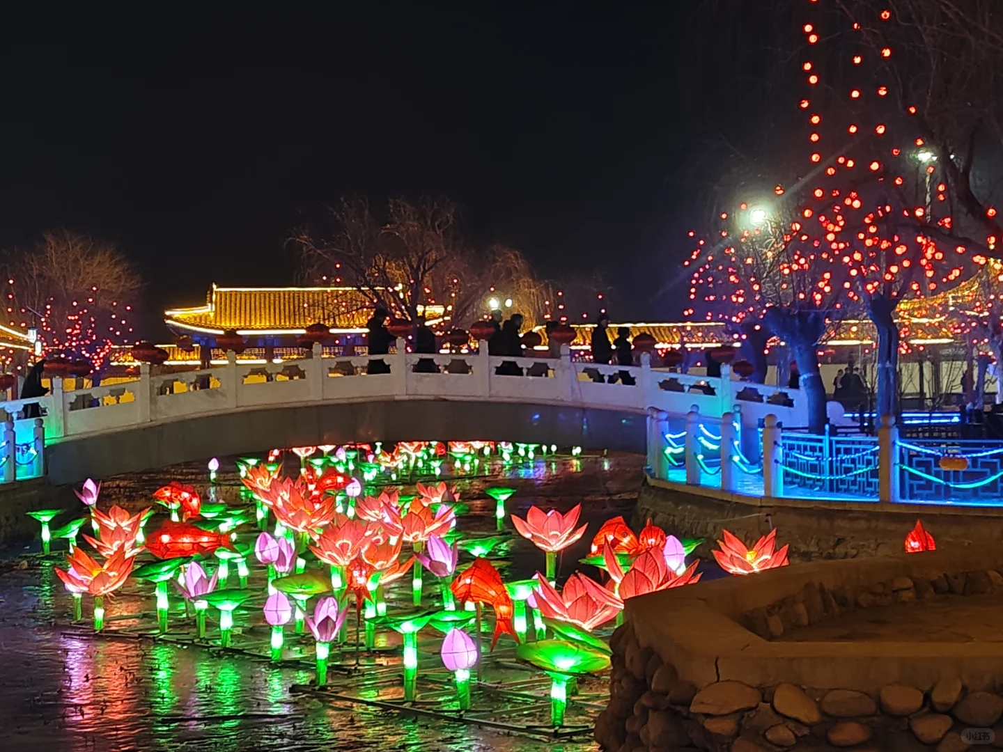 🌸灯｜胜芳古镇