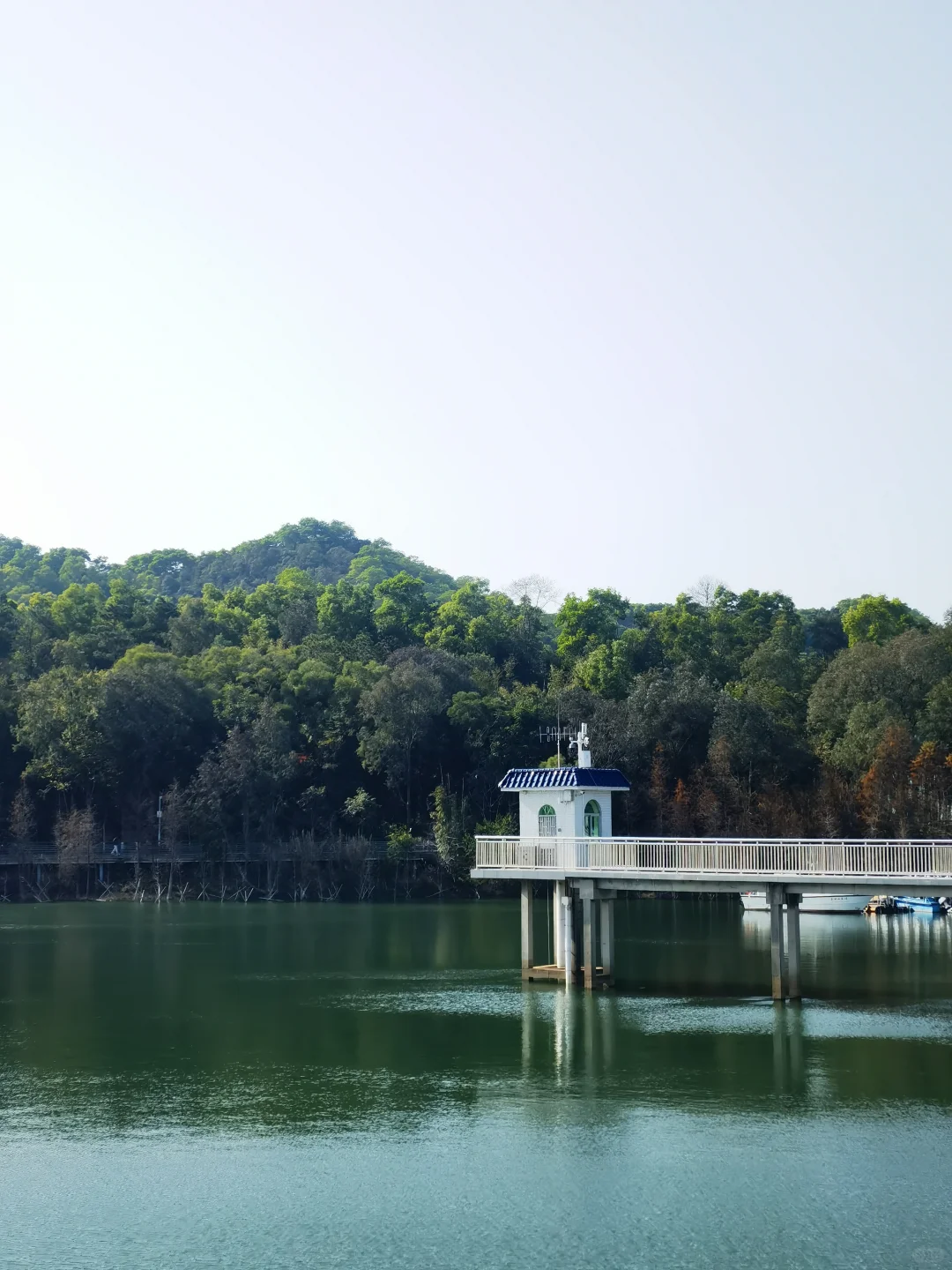 广东中山国家森林公园 — 金钟湖景区