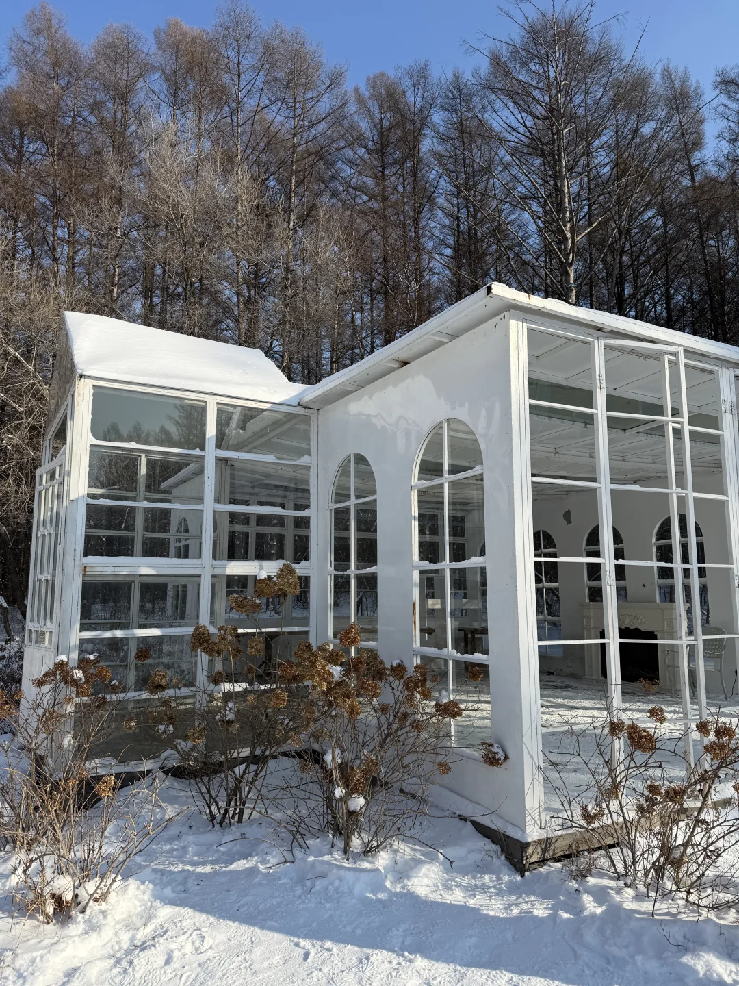 净月潭2025冬季最新游玩攻略❗️