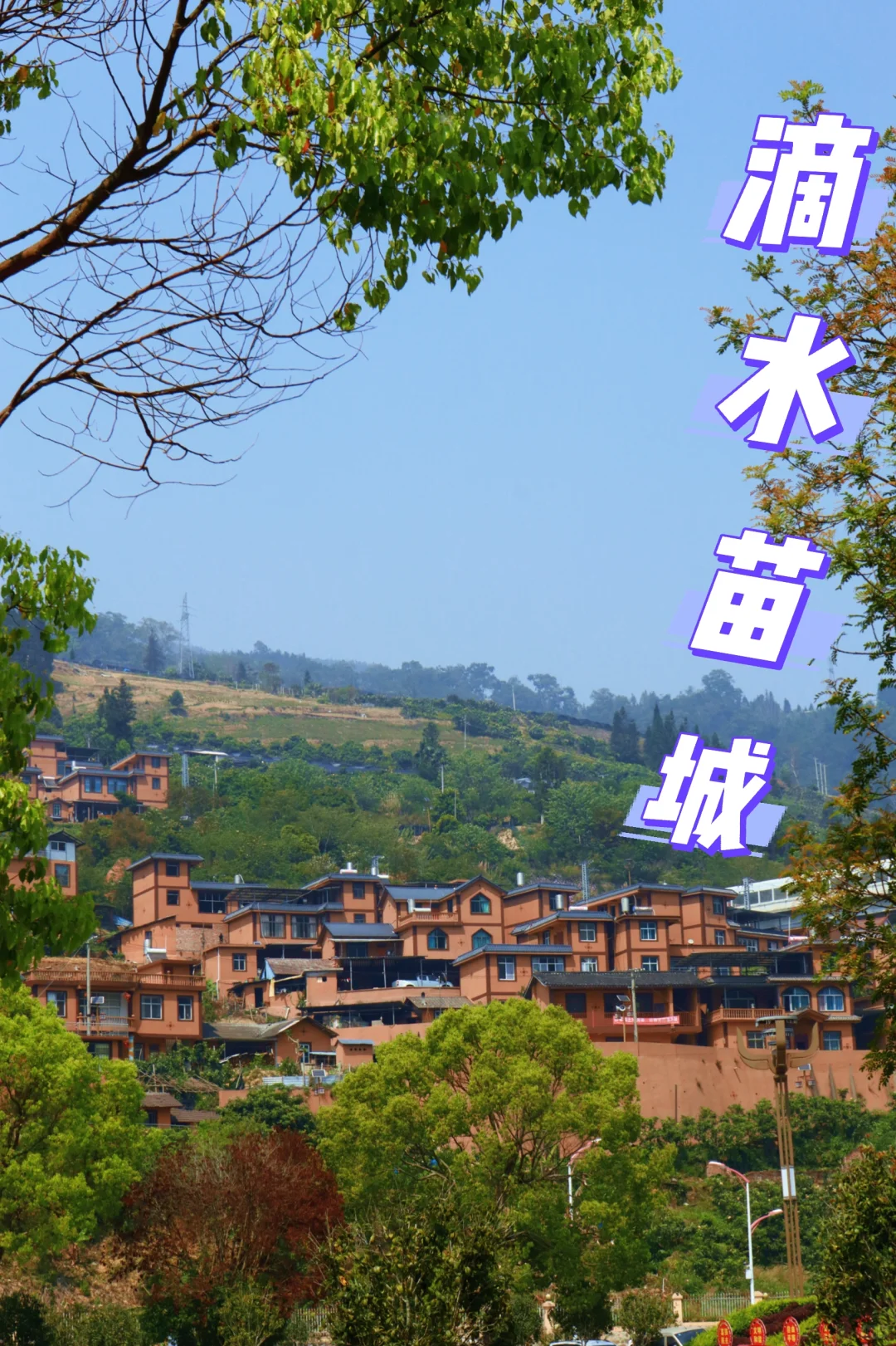 🚪云南屏边:一道被隐藏的自然奇观之门