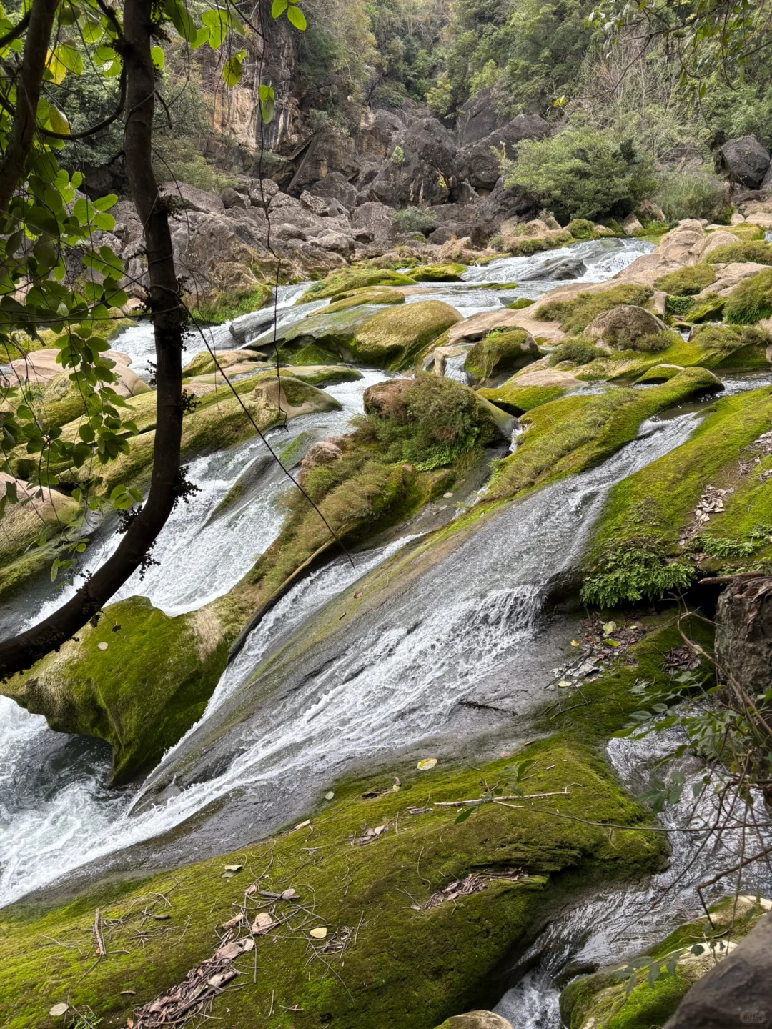 贵州•黄果树瀑布，会惩罚每一个不做攻略的人
