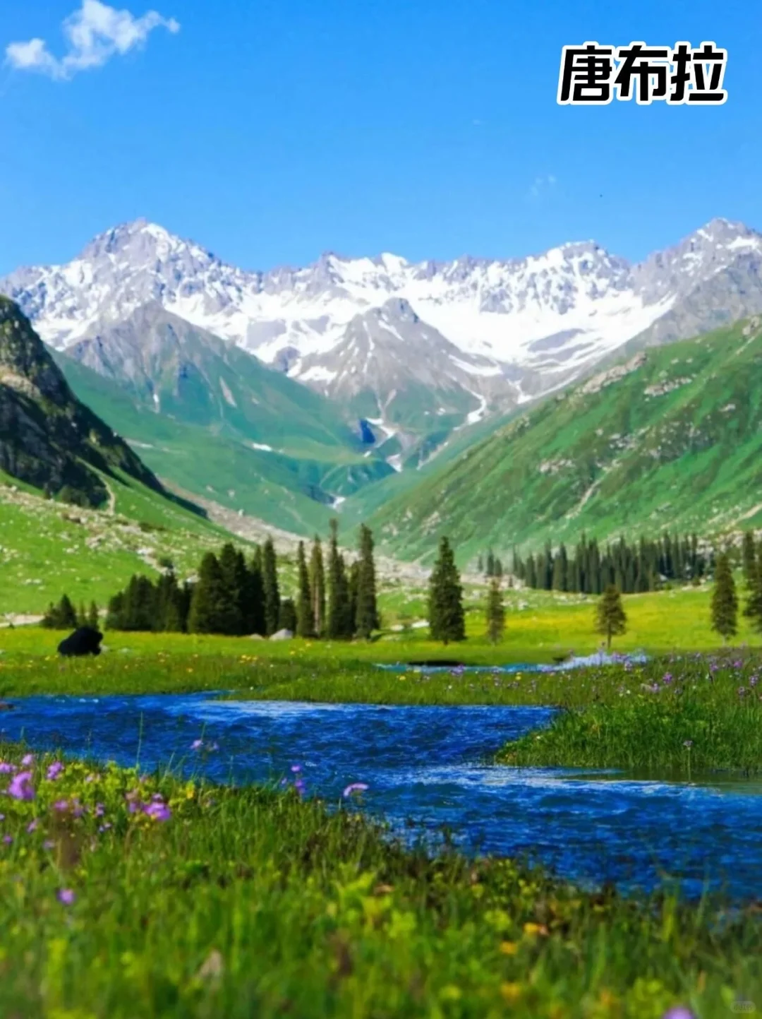假如有段位，新疆哪个景点才是你心中的第一