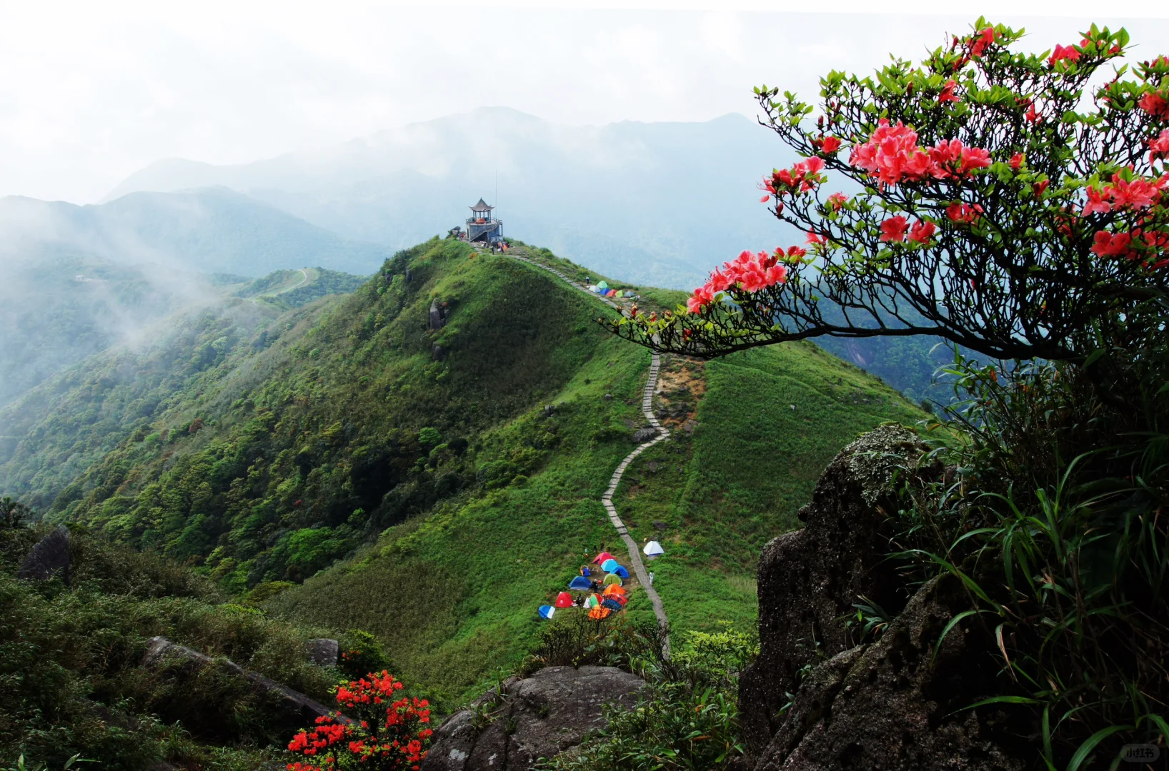 来广西玩，真的不要错过这里