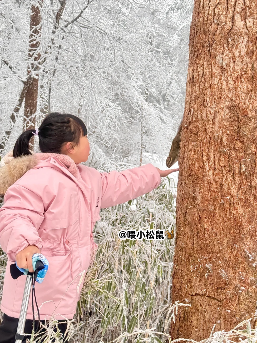 2月3日初六峨眉山避雷……
