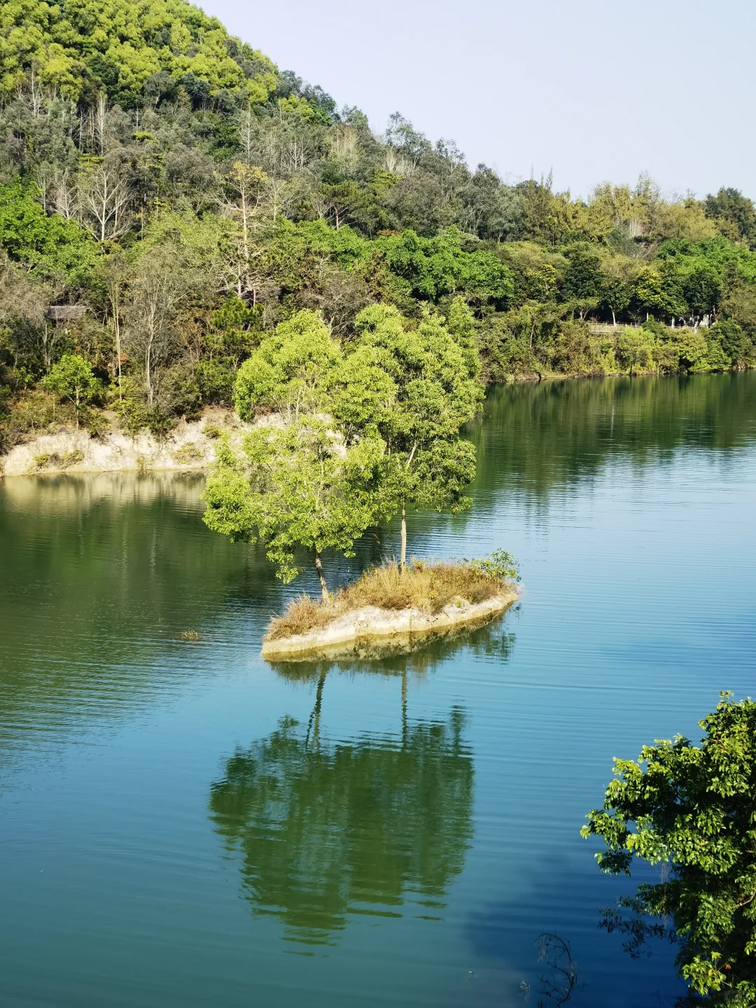 广东中山国家森林公园 — 金钟湖景区