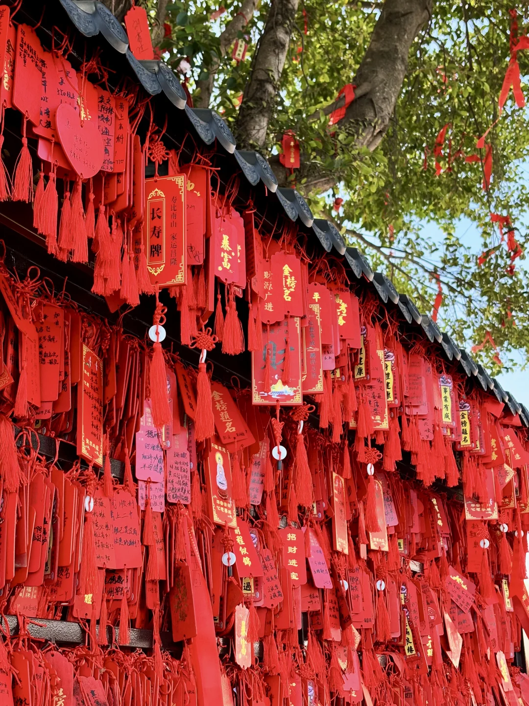 登顶高榜山 | 在人生的道路上，要向前向前！