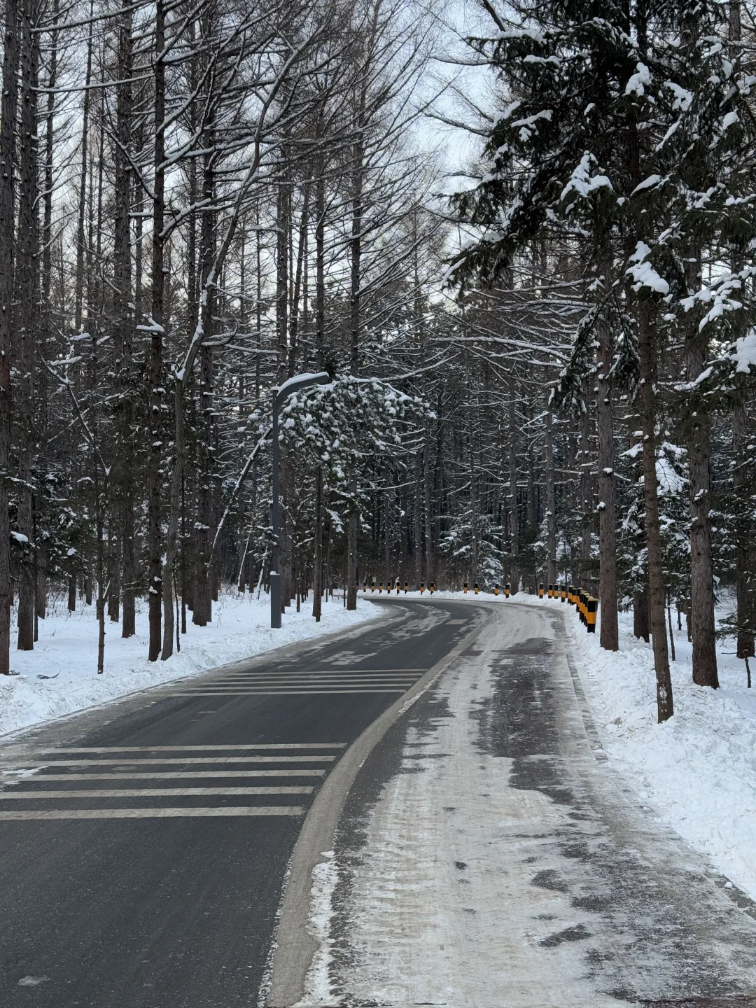 净月潭2025冬季最新游玩攻略❗️