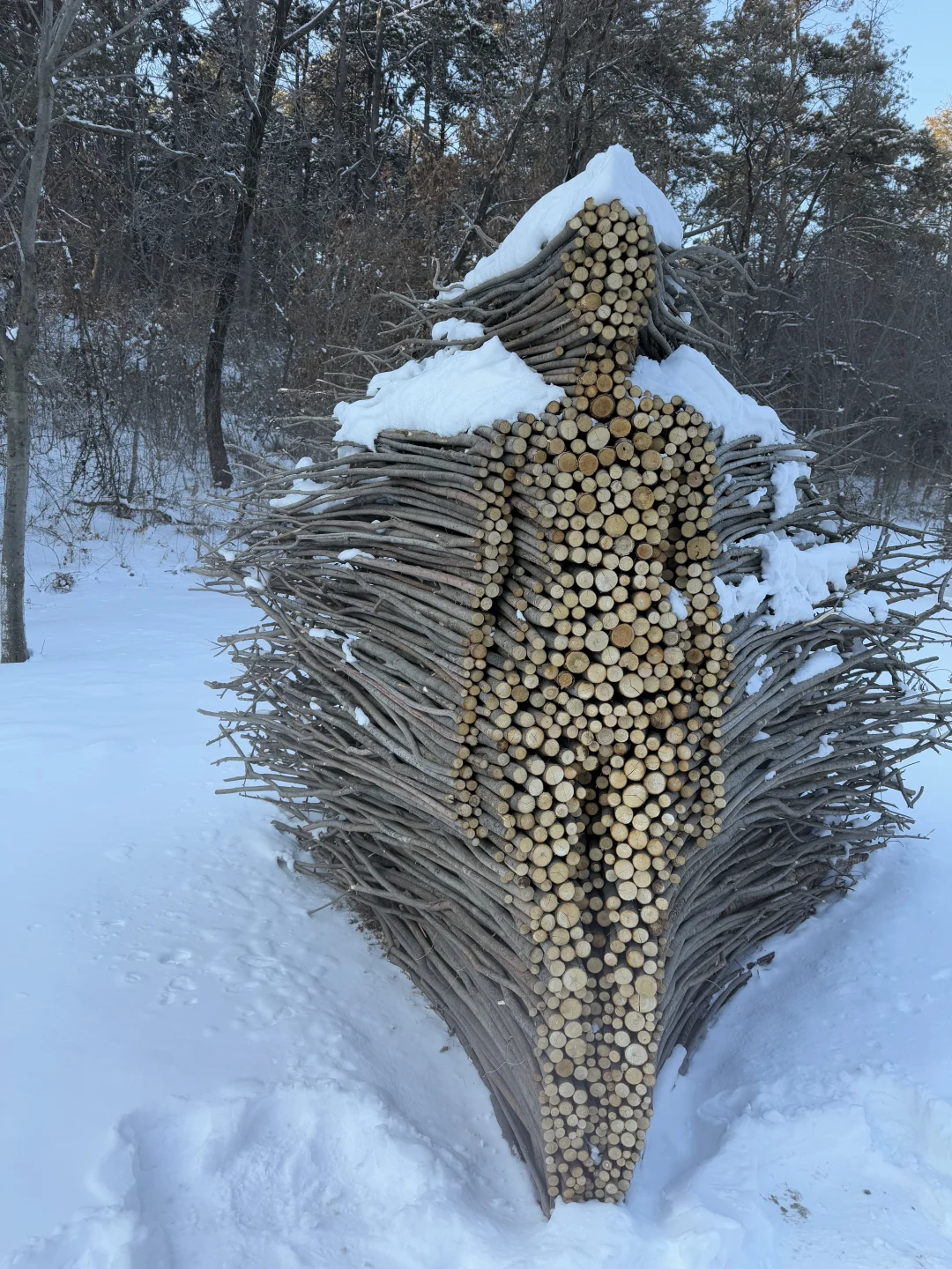 净月潭2025冬季最新游玩攻略❗️