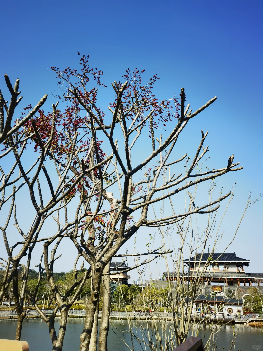 广东中山国家森林公园 — 金钟湖景区