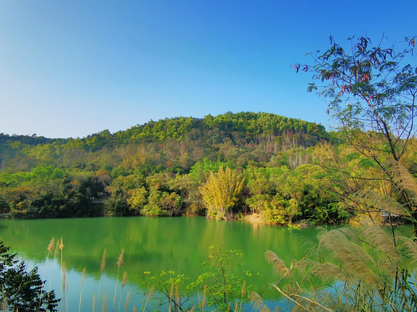 广东中山国家森林公园 — 金钟湖景区