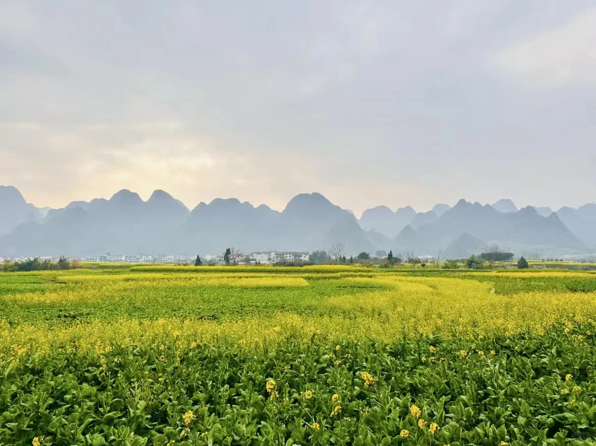 【万峰林马岭河2日游攻略】