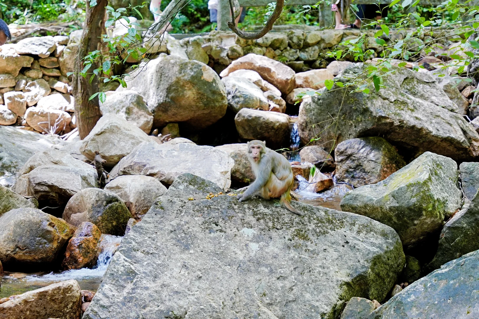 来广西玩，真的不要错过这里
