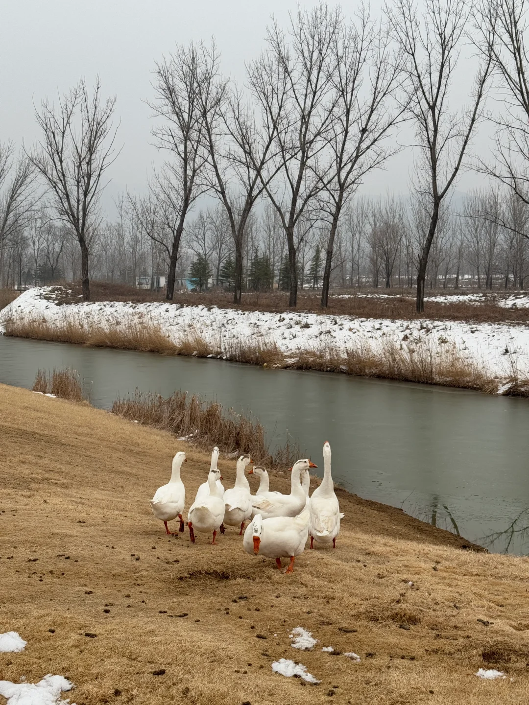 洛阳｜我真的不允许有人错过这个绝美的地方