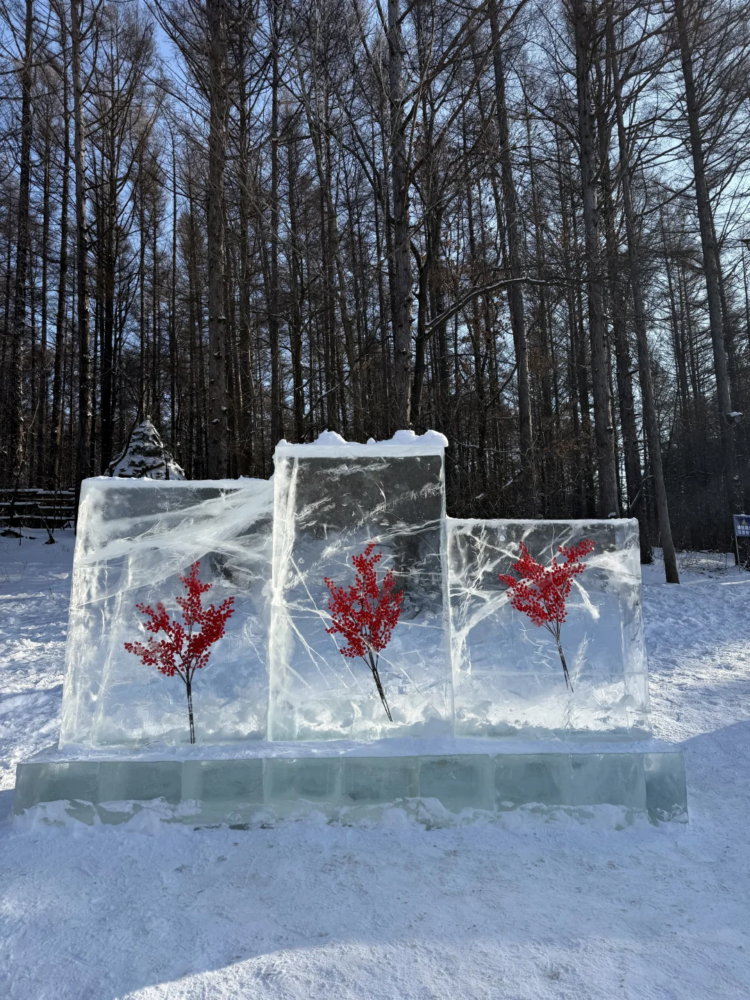 净月潭2025冬季最新游玩攻略❗️