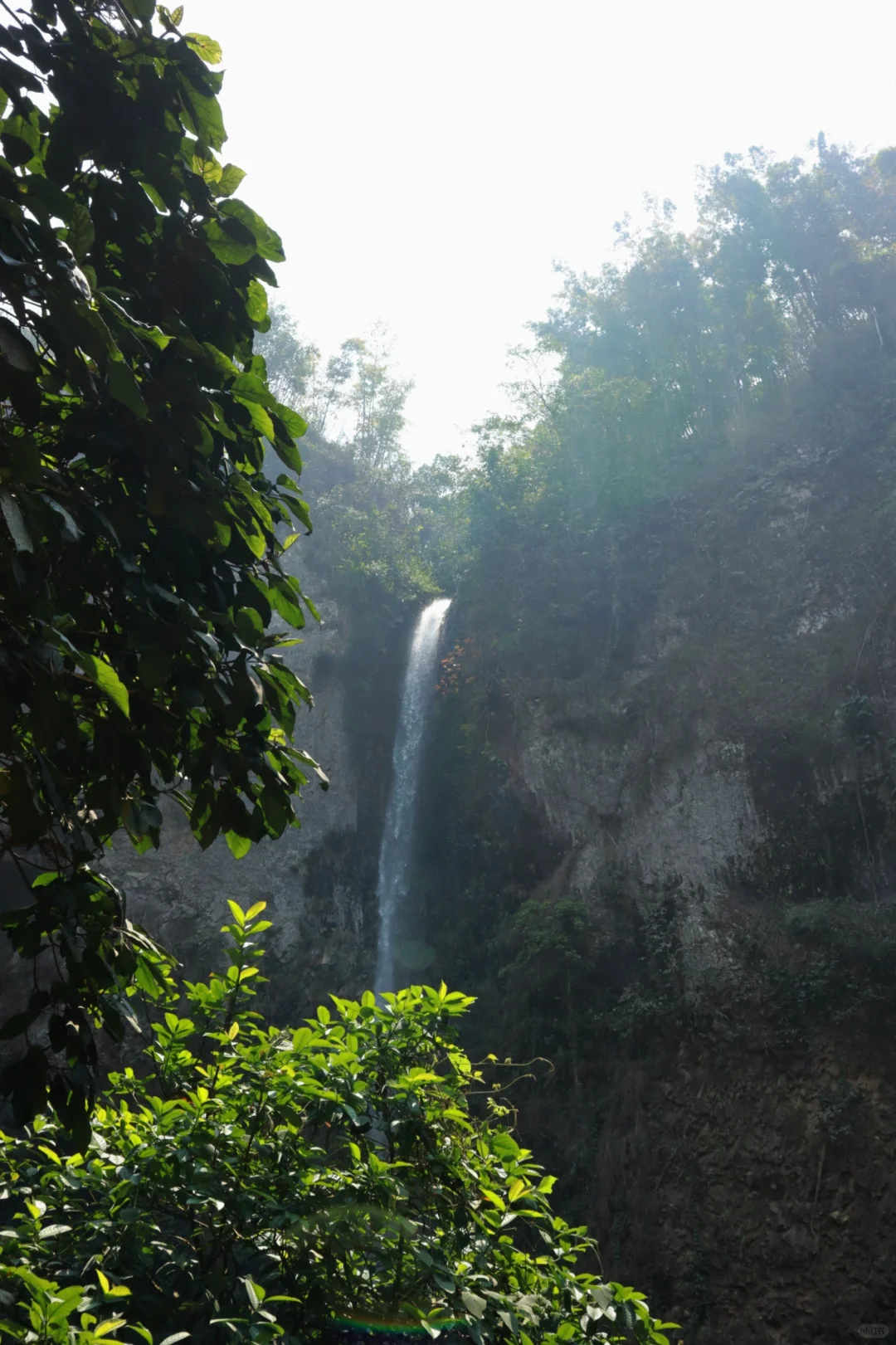 🚪云南屏边:一道被隐藏的自然奇观之门