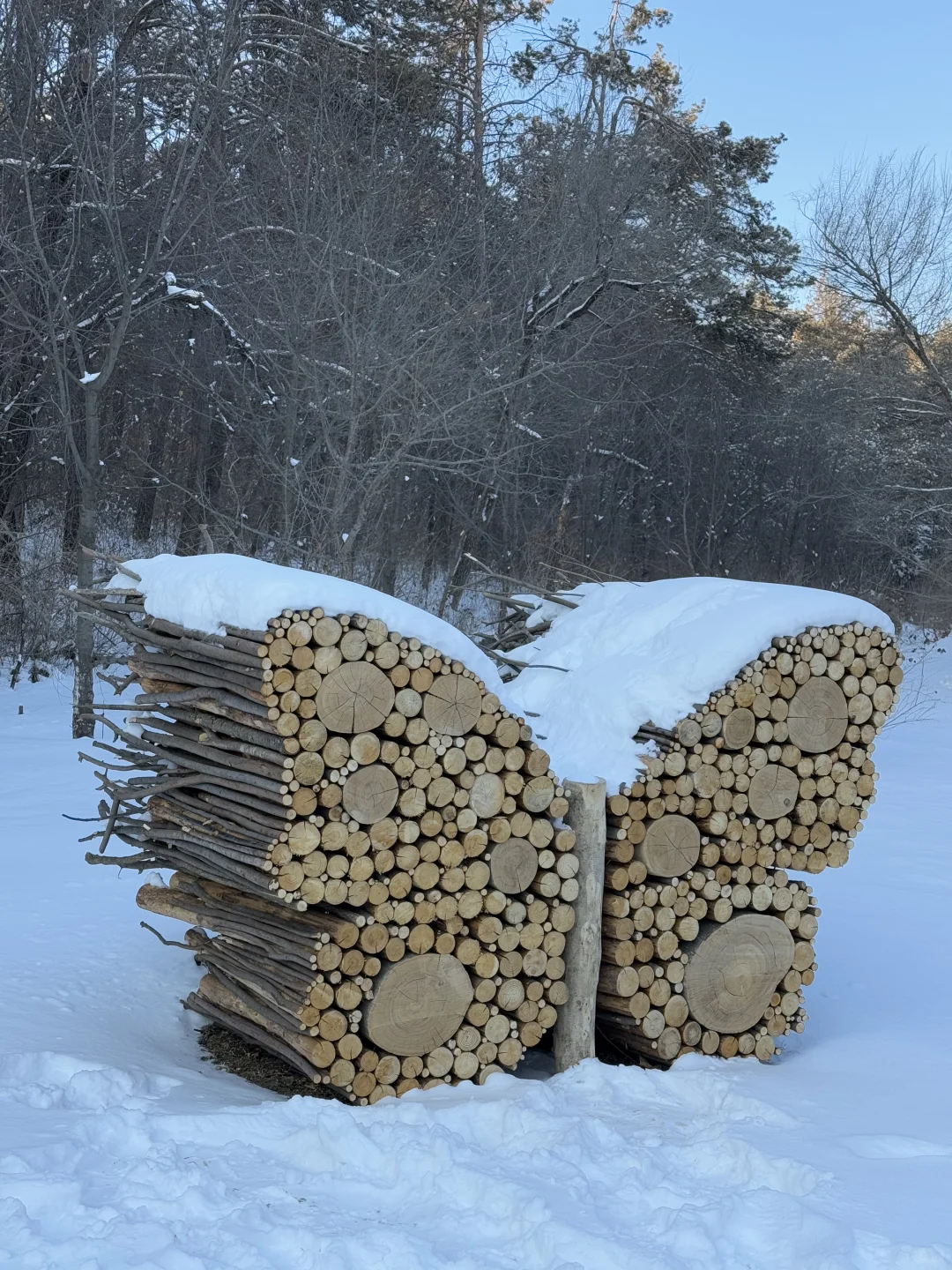 净月潭2025冬季最新游玩攻略❗️