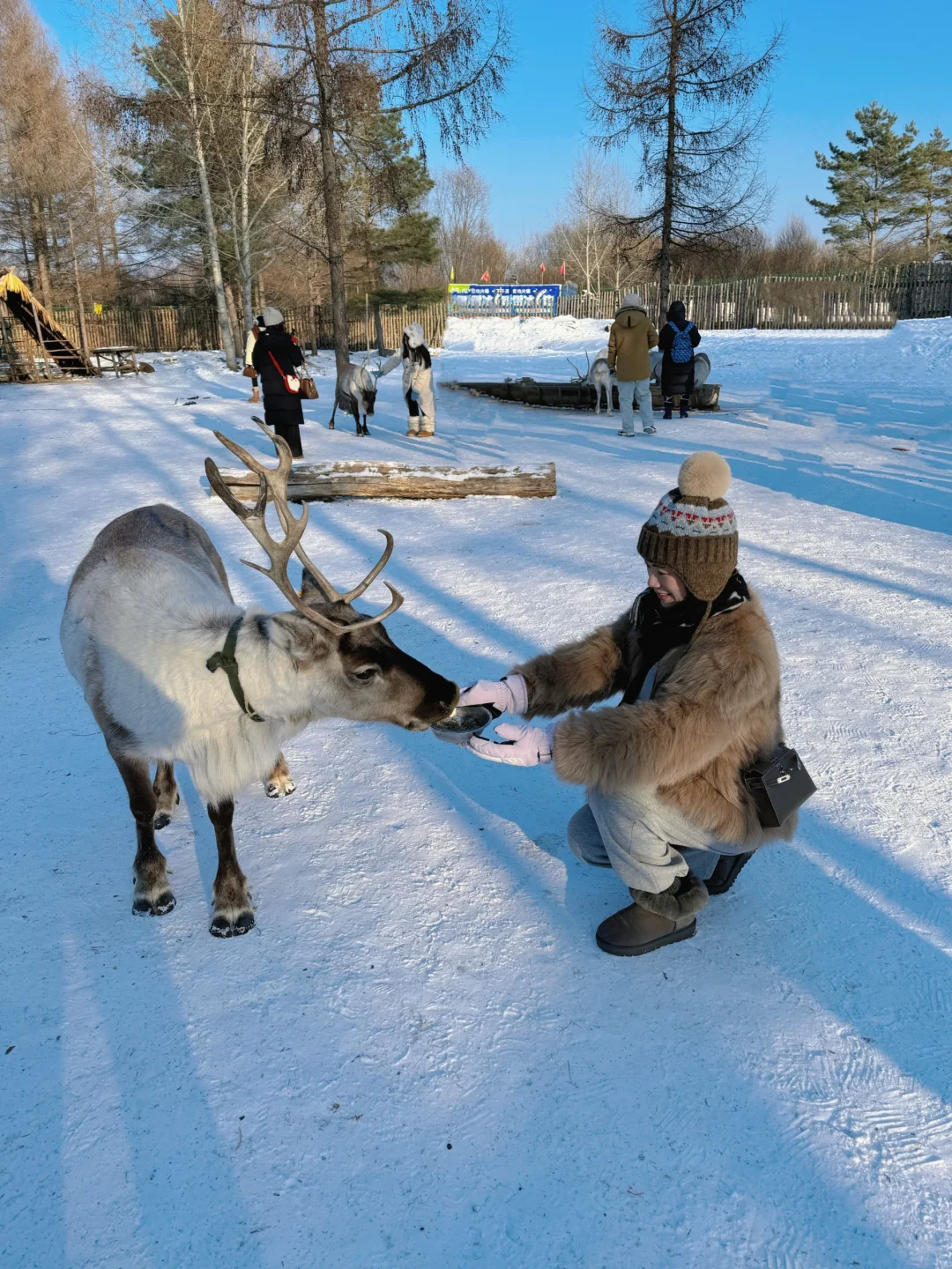 长白山大惊喜❗️二道白河镇免费景点一日游❗️