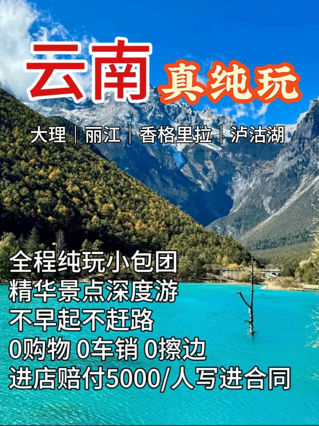 蛇年来云南！真纯玩！暖冬畅游爽歪歪😘