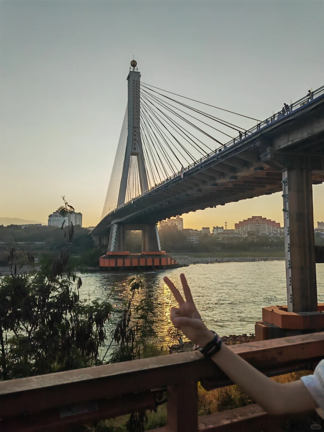 版纳回来说点大实话!