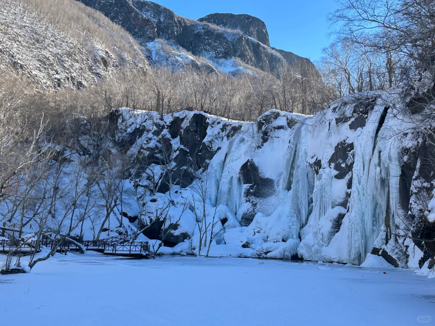 一定要看完这篇再去长白山❗️🏔️