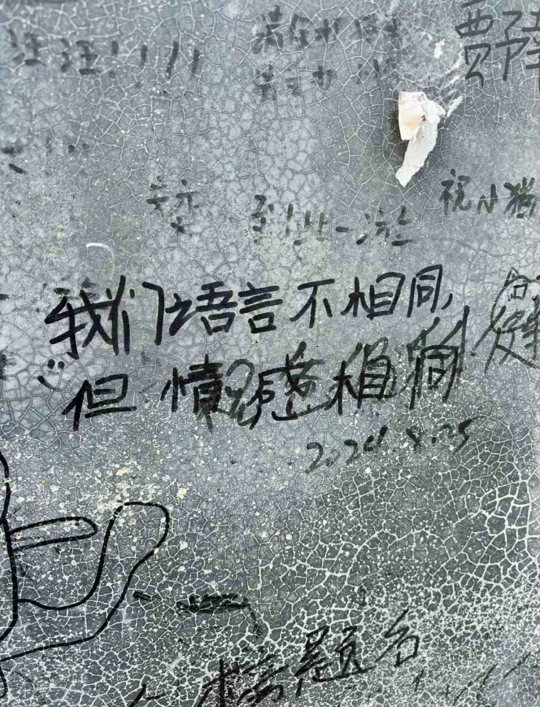 保定 | 阜平猫村「到有猫的地方去」🐱