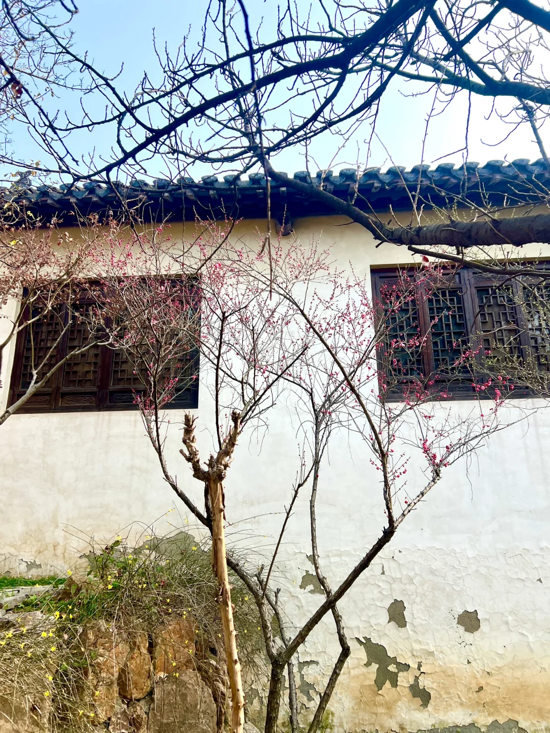 三天两夜自驾攻略|泰安→南京→无锡→扬州