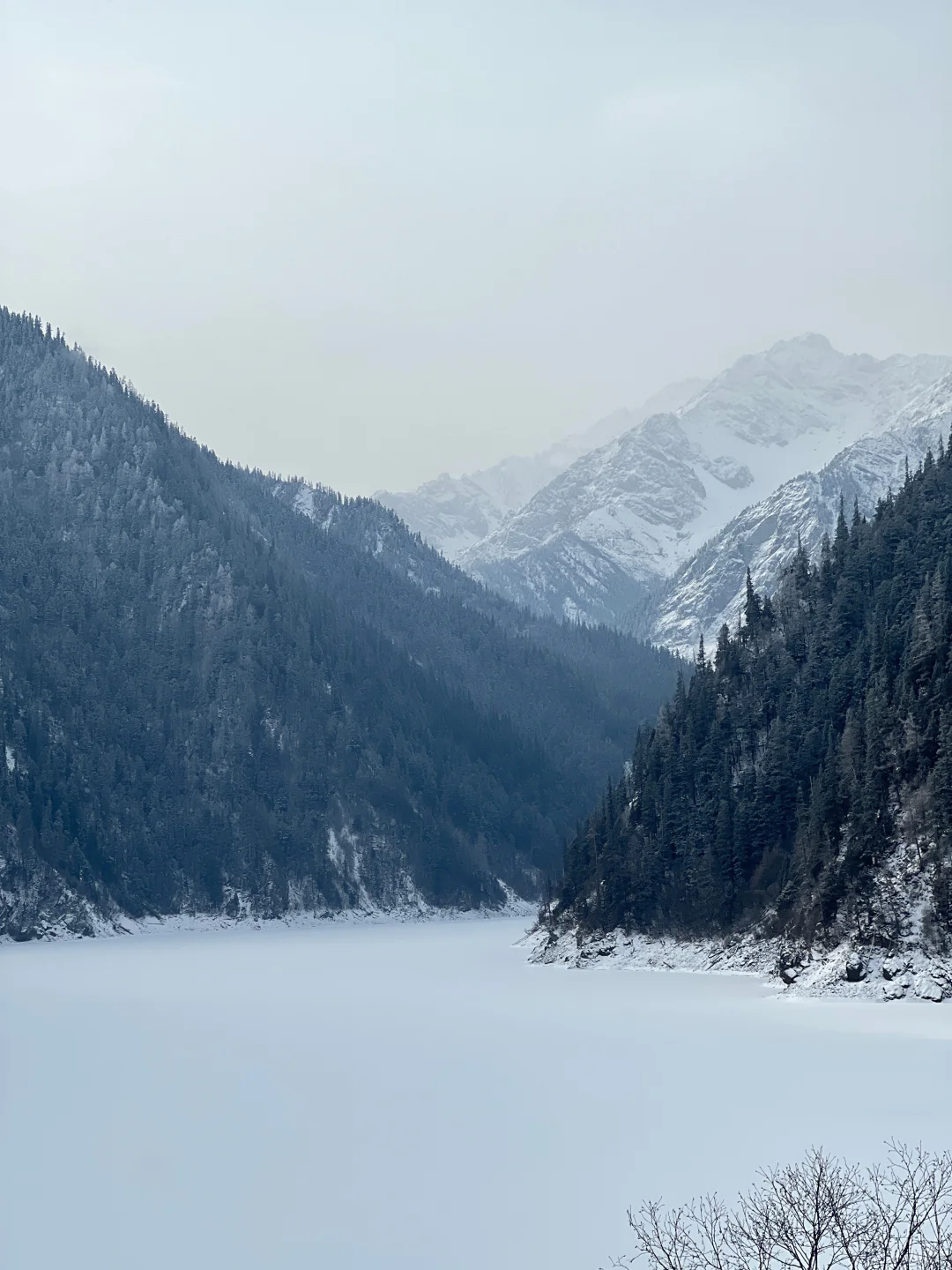 2.3📍九寨沟实况现状，已踩雷😭建议听劝...