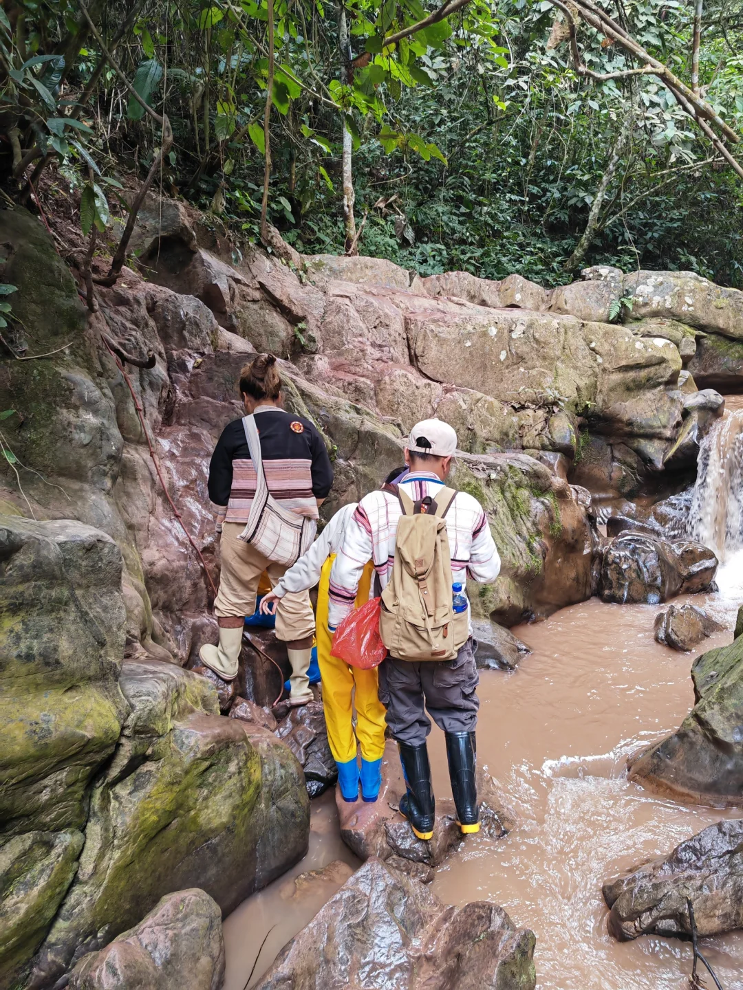 版纳回来说点大实话!