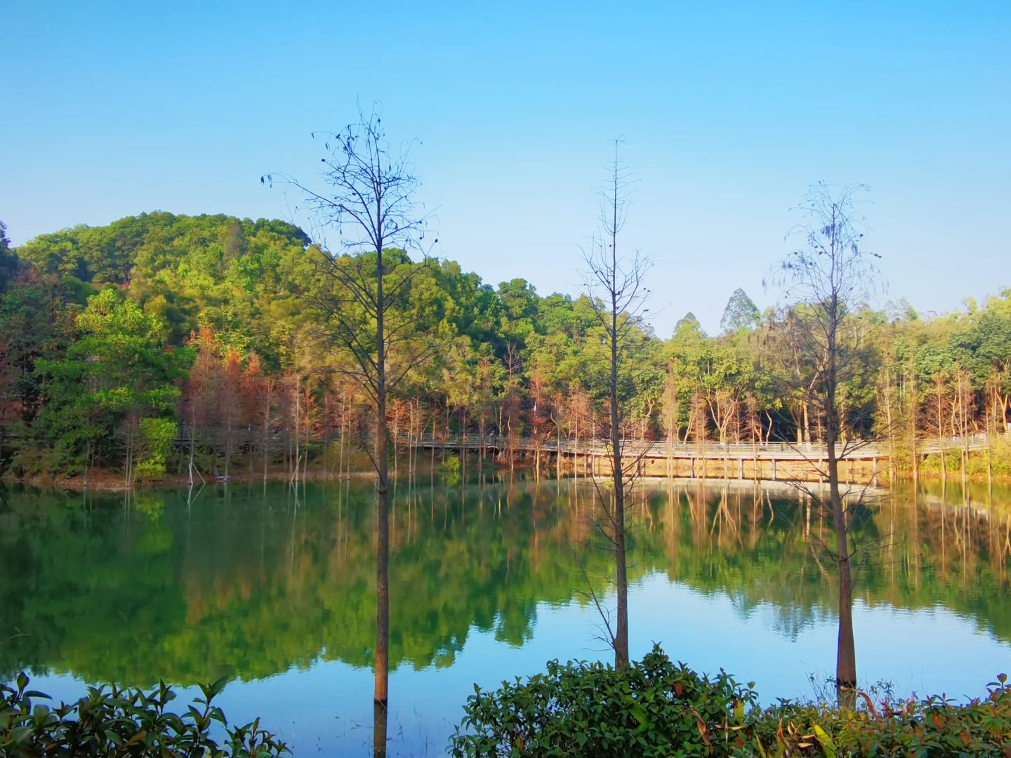 广东中山国家森林公园 — 金钟湖景区