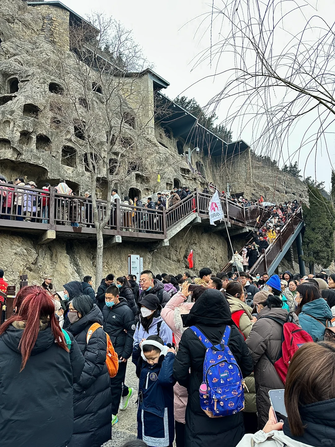 1.31日大年初三龙门石窟实况！劝退！！