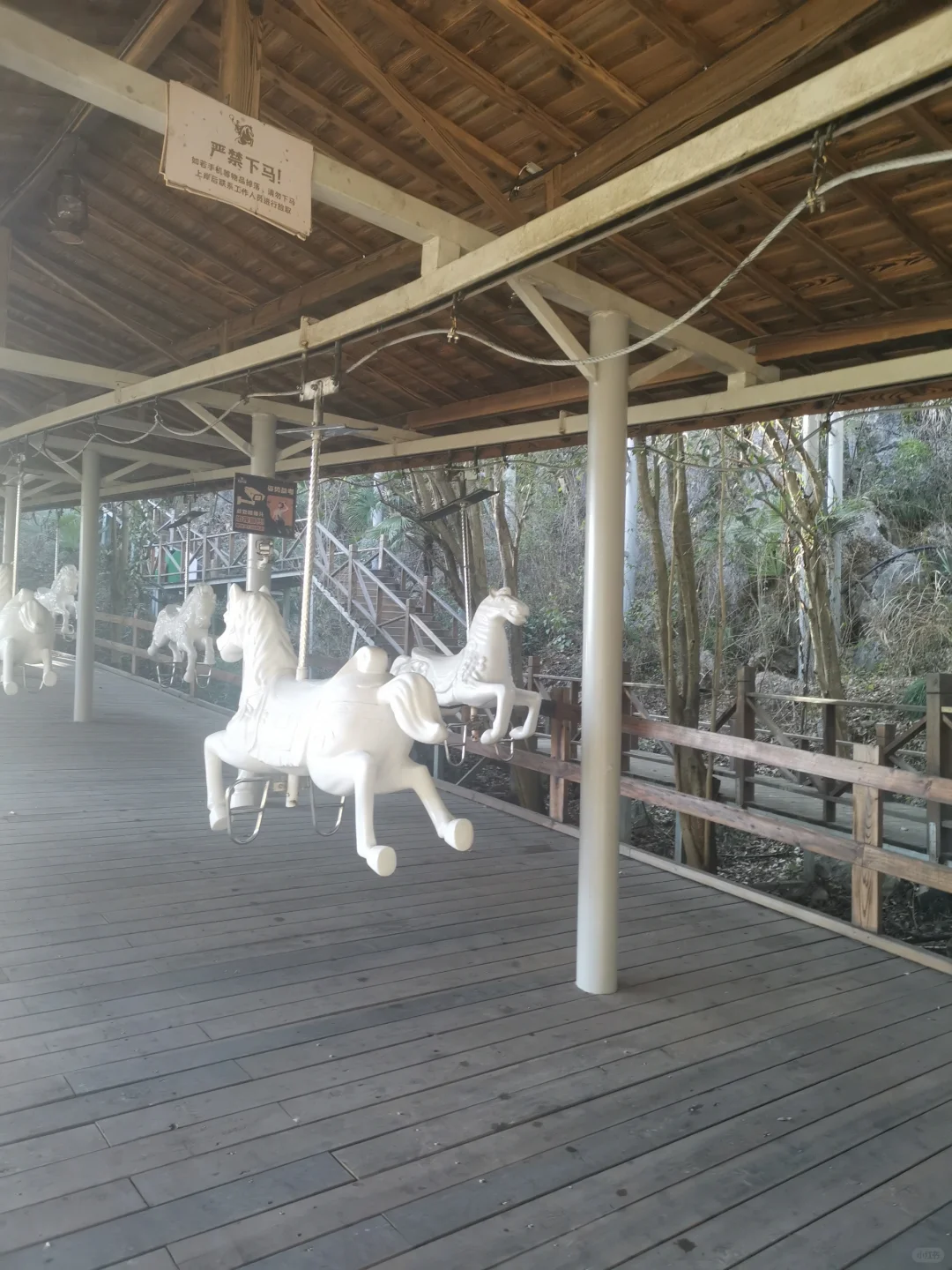 咱也是把桐庐的心动乐园逛遍了哈