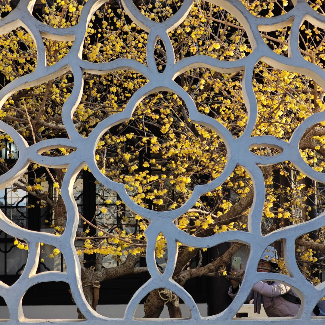 瞻园新造园，气韵有传承