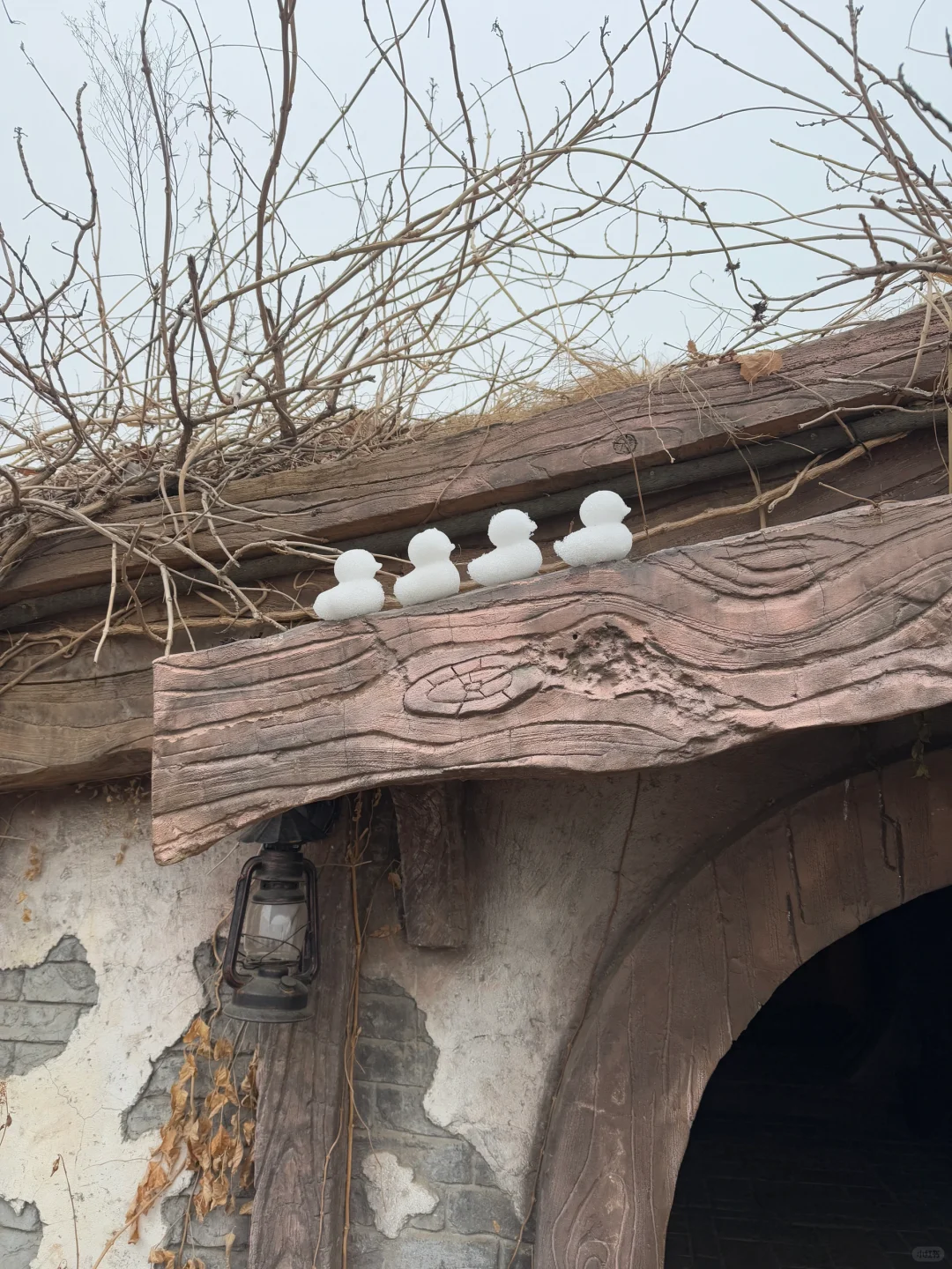 洛阳｜我真的不允许有人错过这个绝美的地方