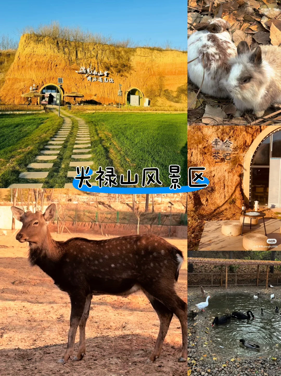 石家庄冬日闲逛好去处