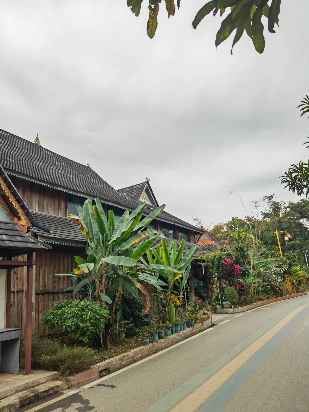 版纳回来说点大实话!