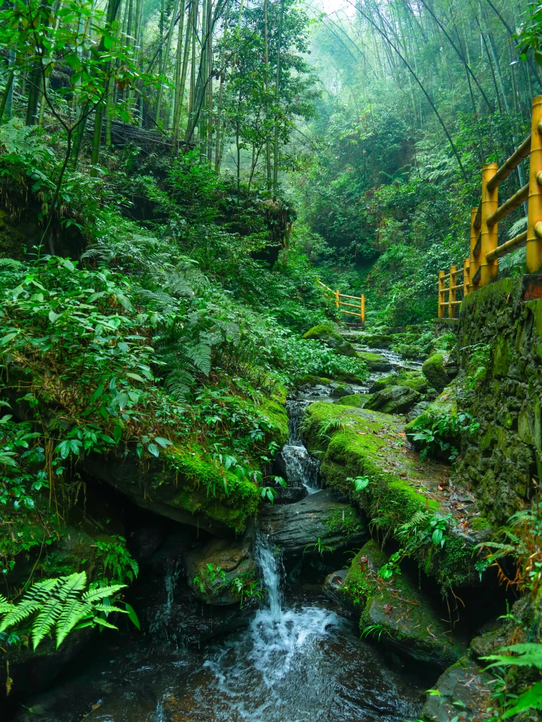 我找到盗墓笔记现实版❗小众冷门景点太仙境