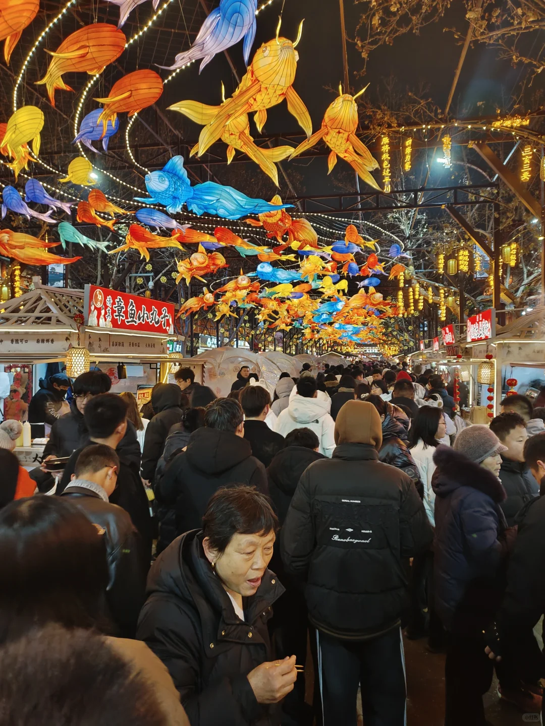 1.31邯郸大名府旅行