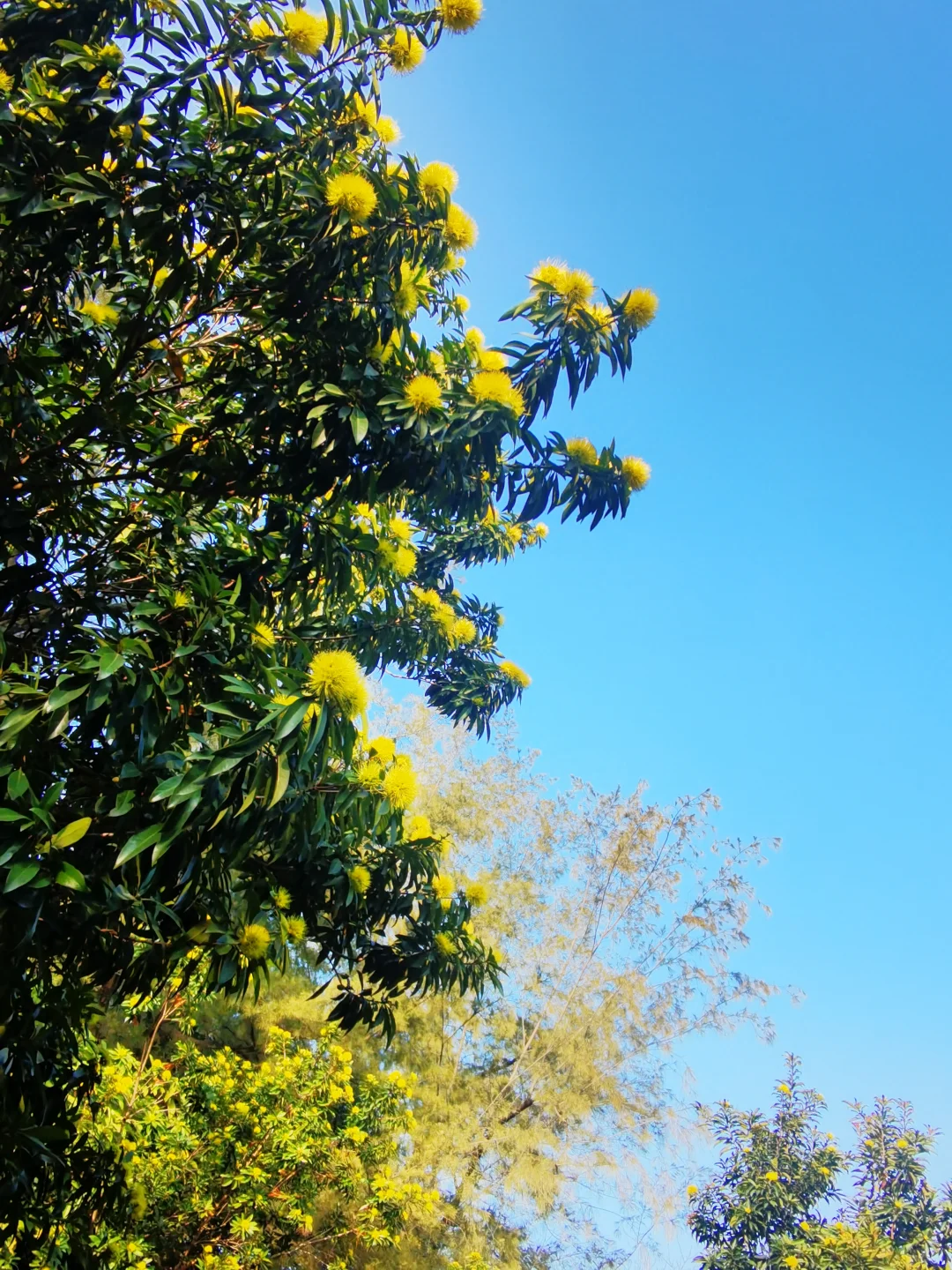 广东中山国家森林公园 — 金钟湖景区
