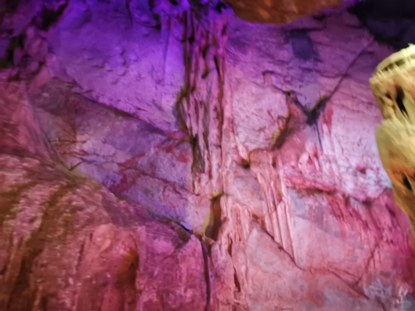 咱也是把桐庐的心动乐园逛遍了哈