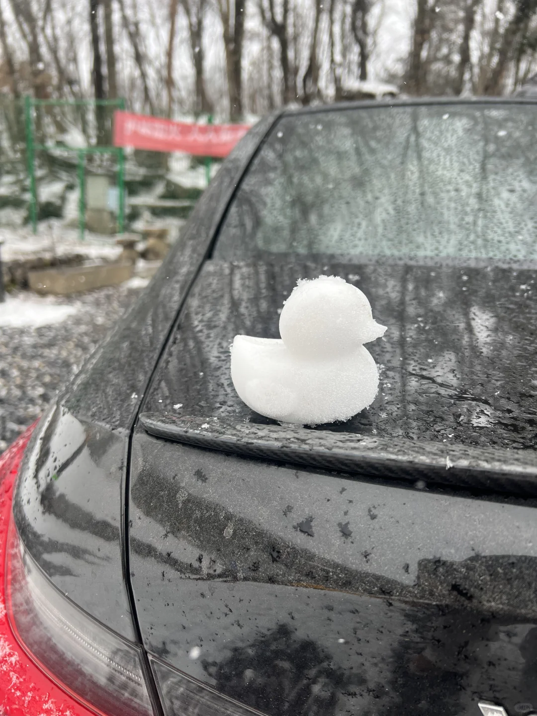 2.5天燕下大雪啦~