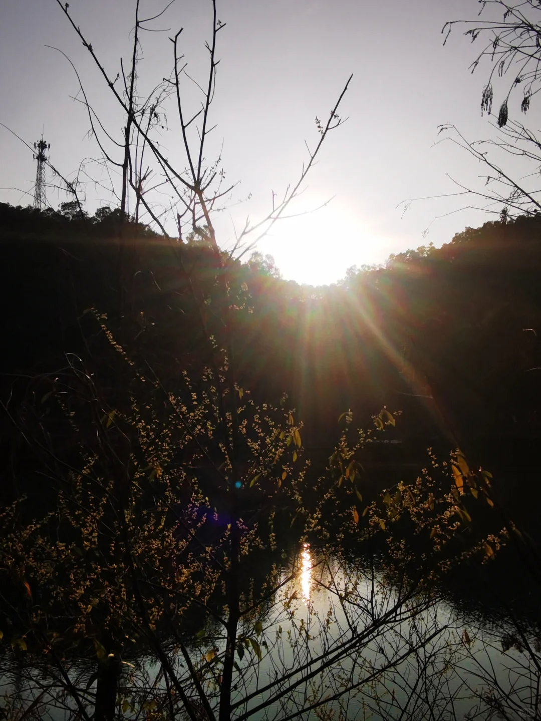 广东中山国家森林公园 — 金钟湖景区