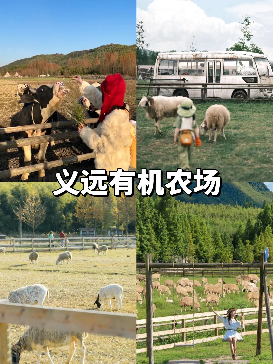 包出片的‼️莫干山两天一夜旅游攻略📝码住