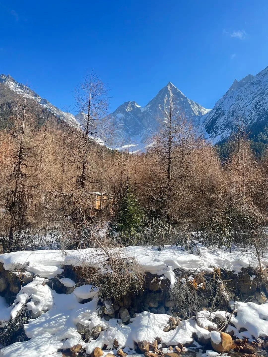 2.3📍四姑娘山已回,live实况直出,劝退不了