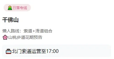 🌿济南限定|本地人私藏的泉水城市旅游清单