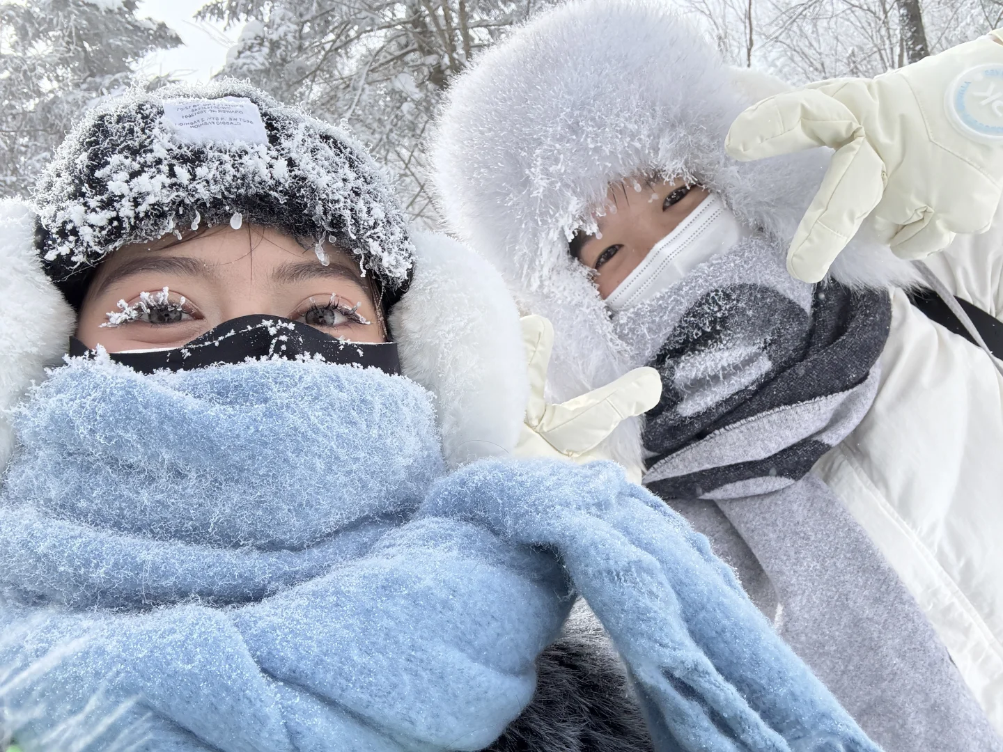 雪岭来了❗️被狠狠收拾了❗️❗️